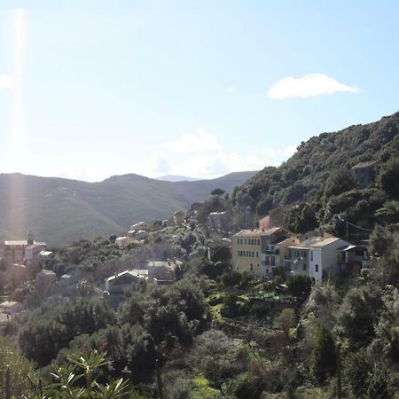 Casa Di Maria Hotel Rogliano Buitenkant foto