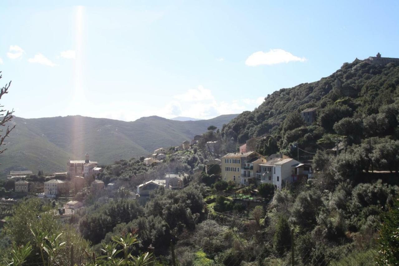Casa Di Maria Hotel Rogliano Buitenkant foto